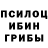 Галлюциногенные грибы Cubensis Chinare Allahverdiyeva