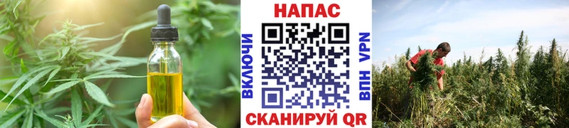 omg ONION Озёры Cannafood конопля